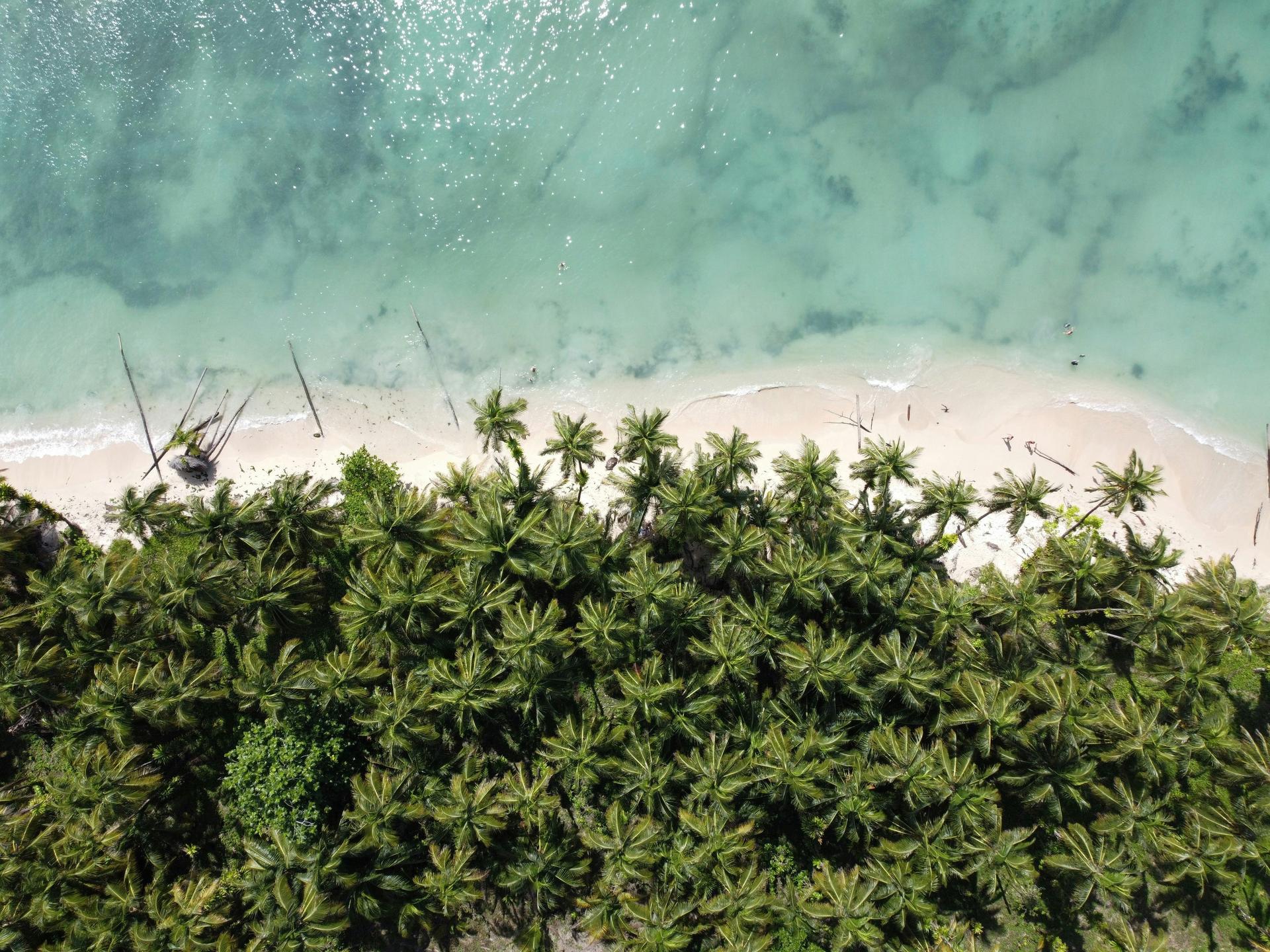 Beach zapatilla island